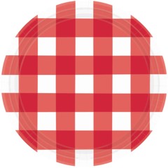RED GINGHAM 10.5'' PLATES
